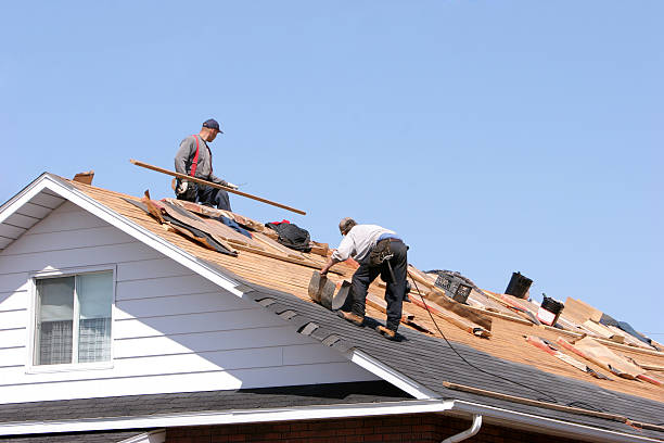 Best Solar Panel Roofing Installation  in Fairway, KS